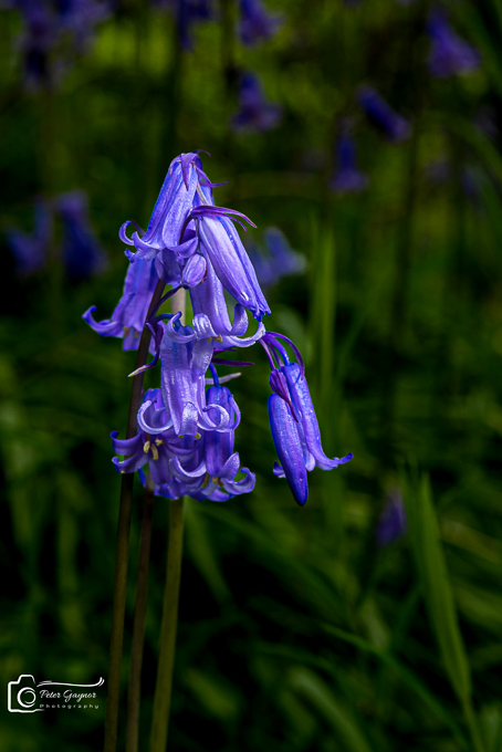20230503-DSC_9659